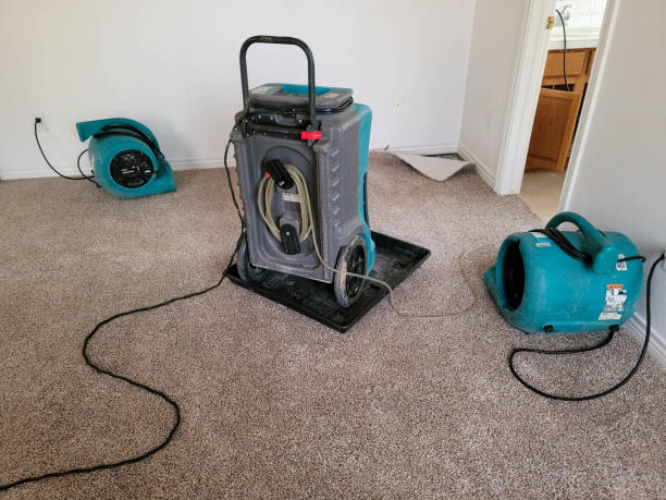 Best 24-hour water damage restoration  in Columbia Falls, MT