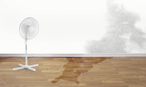Best Sewage cleanup and water damage restoration  in Columbia Falls, MT