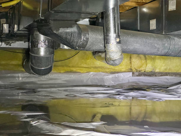 Best 24/7 water damage repair  in Columbia Falls, MT